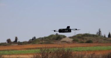 Viper loitering munition