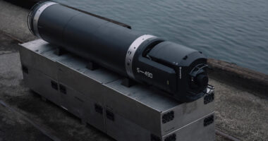 Seabed Sentry