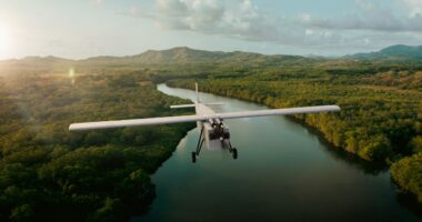 Hornet autonomous counter-drone system showcased during field trials, demonstrating precision interception capabilities