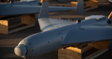 Close-up view of a LUCAS drone resting on a wooden stand, showing its sleek fixed-wing design and nose-mounted sensor under warm evening light.