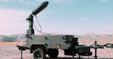 ALPAY Mine-Clearing System