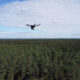 A drone surveys a dense forest under a partly cloudy sky, showcasing how drones can assist in radioactive recovery during daylight hours.